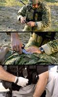 Ножницы Leatherman Raptor Tan Чехол Utility (832174)